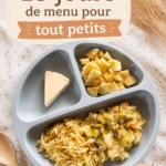 Repas équilibré pour tout-petits préparés avec des ingrédients frais