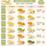 Repas sain pour un bébé de 6 mois, avec purée de légumes et fruits