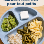 Assiettes colorées pour jeunes enfants, pratiques et sûres.