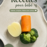 Assiette de purée pour bébés faite maison avec des légumes et des fruits