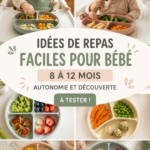 Un plat coloré de repas pour bébés de 8 à 12 mois comprenant des légumes et des fruits