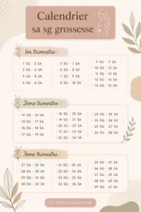 Calendrier de grossesse personnalisé avec des illustrations douces de bébés et de motifs floraux.