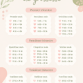 Calendrier de grossesse illustré avec les semaines et étapes clés.