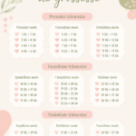 Calendrier de grossesse illustré avec les semaines et étapes clés.