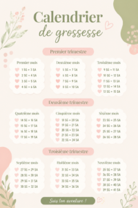 Calendrier de grossesse illustré avec les semaines et étapes clés.