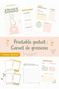 Carnet de grossesse gratuit à imprimer sur fond pastel avec des éléments de décoration.