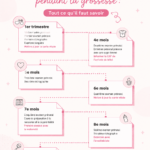 Futures mamans consultant un site d'aide administrative pendant leur grossesse