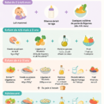 Un plat équilibré adapté aux bébés, avec des légumes doux et des céréales.