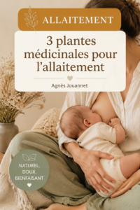 Plantes médicinales pour soutenir l'allaitement, telles que le fenouil et le chardon-Marie.