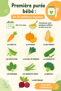 Assiette de purée de légumes colorée pour bébé, mettant en avant les meilleurs ingrédients nutritifs.