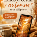 Fond d'écran automnal avec des feuilles colorées et un paysage chaleureux.